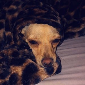 Meet your Posher, Mercedes